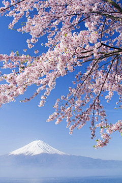 【Ηê】采集到日