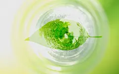 绿色与自然高清壁纸桌面壁纸4