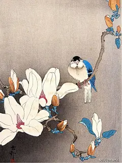 花鸟画就是画画小动物？日本画家小原古邨的情、趣、气_作品 : 不能否认的是，小原古邨与当时的许多日本艺术家一样，把那种蓄势待发的攻击性和心里所期望的重整旗装，以一种隐喻的方式，蕴藏在他们的作品中。之所以如此，是因为这些画作不仅是画家对自然环境的再现和永存，也是画家…