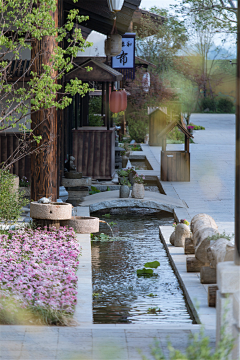 ynnJcWaS采集到water feature