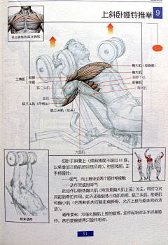 让您快乐采集到健身