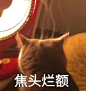 #大学生考试周真实状态# 各位这周是不是都在期末考了考完又是寒假太羡慕学生了！ ​​​​