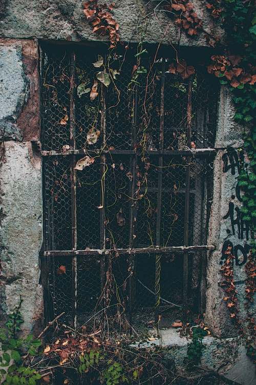photo-1550776933-e70...