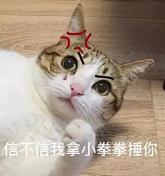 超级可的猫咪表情包下载_动漫新闻_动漫论坛_动漫美图_幻之羁绊动漫网
