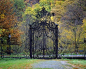 Beautiful iron fence and gate!