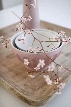 苏影、凉薄采集到云端——半城烟沙
