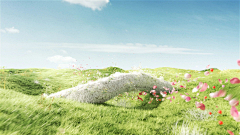 番茄Candice采集到场景