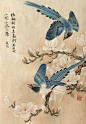 花鸟画｜工笔画｜审美提升 - 小红书
