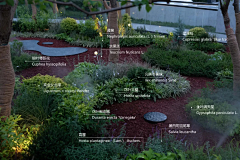 一个啵呐呐采集到【景观】亲子植物课堂