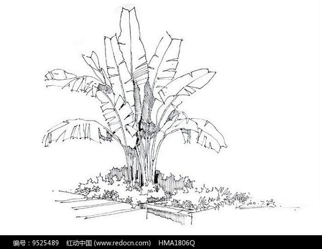 小树池景观手绘线稿