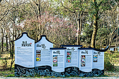 FU珊采集到乡村建设