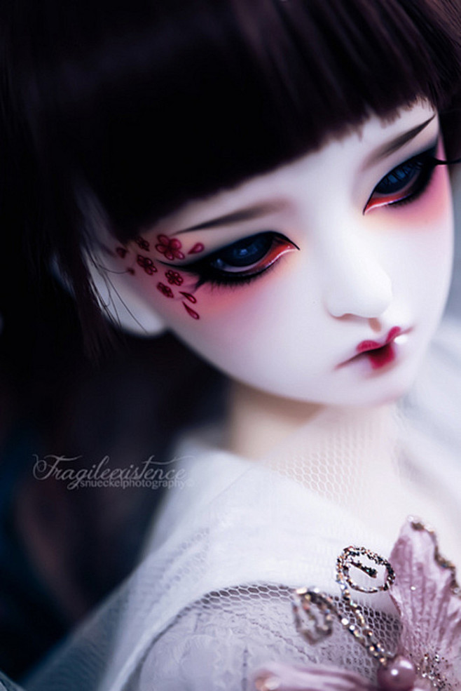 SD