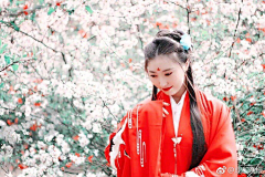 我和我的猪采集到收集美人图片
