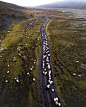 冰岛 | GUNNAR FREYR - 风光摄影 - CNU视觉联盟