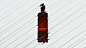 Tequila bottle Packaging branding  germany alebrije alcohol mezcal Whiskey Spirits