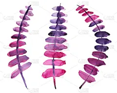 设置水彩粉红色和紫色抽象枝花与叶子孤立在白色背景。创意手绘春夏季插图。剪纸为婚礼3月8日壁纸贴纸