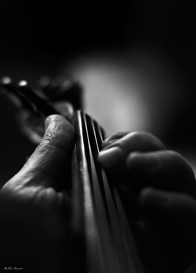 Photograph Violin by...