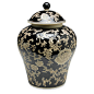 14" Florent Ginger Jar, Black/Cream