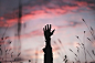 The silhouette of a hand and arm being raised against a purple and pink sky in a field