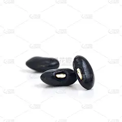 近距离观察黑豆孤立在白豆上