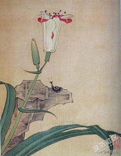 老猪123456采集到小品画