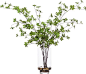 Dodan Tree In Footed Cylinder Waterlike - LU-1002