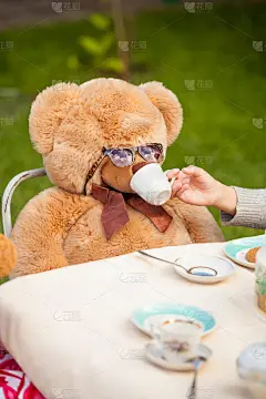 茶给太阳镜泰迪熊的女孩的照片