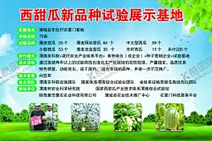 西甜瓜 【酷图网】西甜瓜,展销,树叶,蓝天,白云,草地