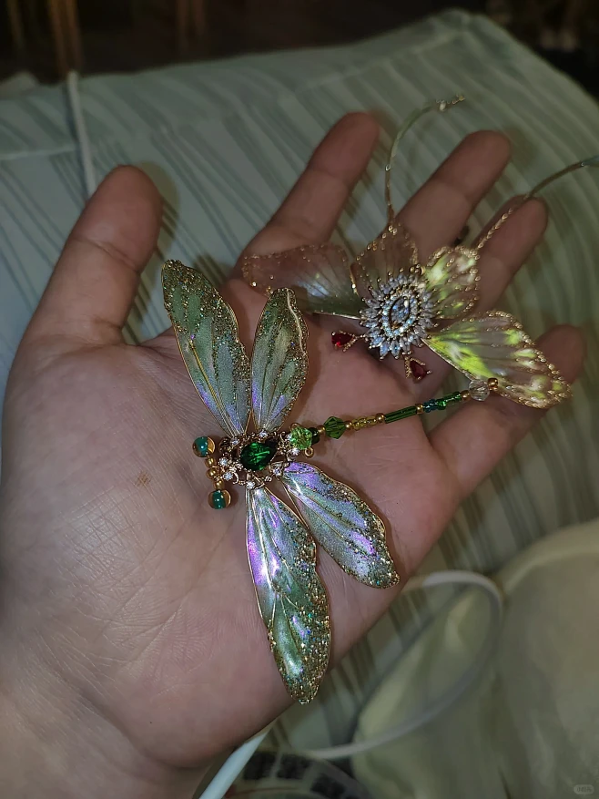 合照一下两只小宠！感觉家里要变成昆虫馆了...