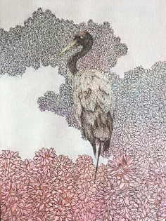 选取了当地的四种特色动物:雪豹,黑颈鹤.