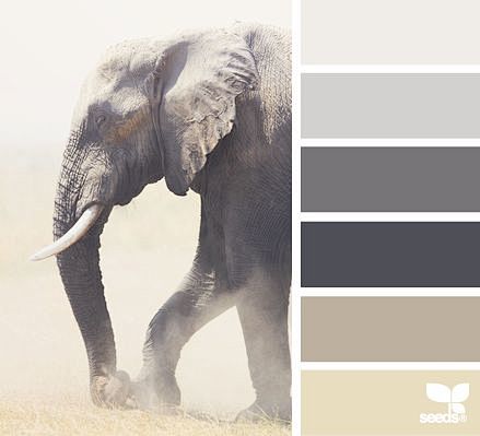 Design Seeds® | for ...