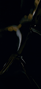 640 (600×1280)