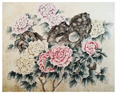 xuyi_design采集到手绘