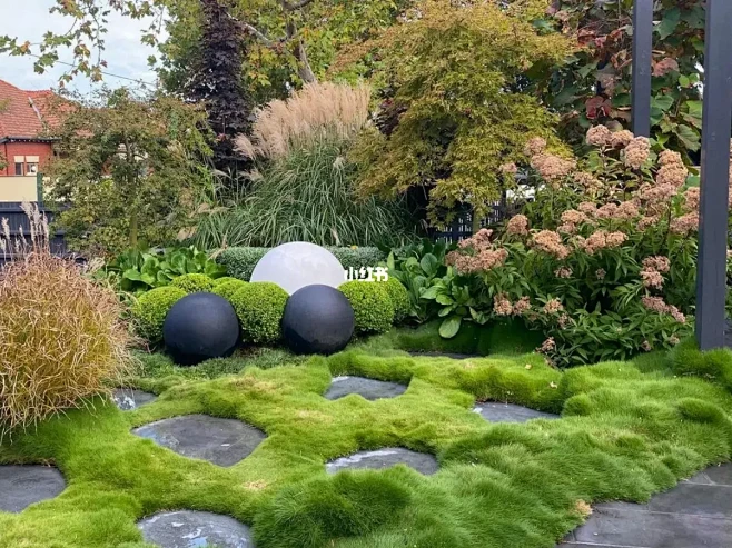 Landscape园林景观☘️植物造景