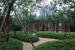 Da胆刁民采集到景观植物