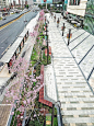 美呆了粉红花海！龙华街道花城建设成效显著_龙华视觉_龙华网_百万龙华人的网上家园