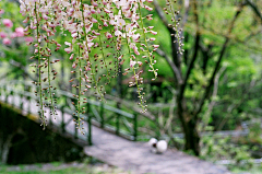 晓迟采集到风景