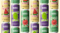 Branding & Packaging for Fruvia Sparkling Fruit Soda :: Behance