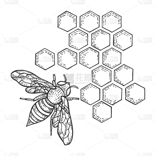蜜蜂,草图,雕刻图像,昆虫,蜂窝,蜂蜜,...