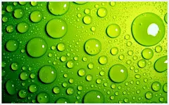 30张惊人的高清壁纸来调剂你的桌面 | Jackchen Design 1984