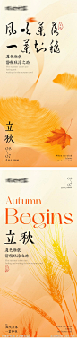 立秋节气海报-源文件-志设网-zs9.com