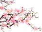 Ridgqkr4T.png (400×304)