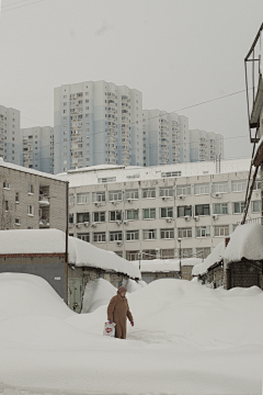 无敌美少女千束酱登场采集到雪城