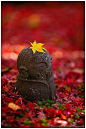 Autumn in children Jizo at Enko-ji Temple, Kyoto, Japan