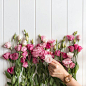 One can never have too many blooms,  especially when they come in every shade of pink 
.
.
.
.
Only a few more days left to get your entry in to win a $100 voucher for your own Jord watch @woodwatches_com enter at  https://www.woodwatches.com/g/thelifesob