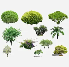 树木树丛灌木万年青图片素材免抠png素材_新图网ixintu.com