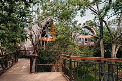 TreeLANDSCAPE采集到建筑——景观