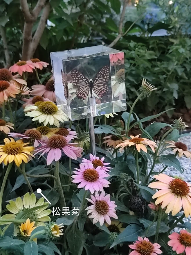 【117】自然教育如何溶于景观？ - 小...