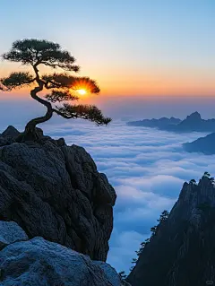 治愈系壁纸|云海迎客松|清新自然壁纸 - 小红书