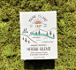 MAINE ISLAND SOAP Getting clean on the coast of Maine-古田路9号-品牌创意/版权保护平台